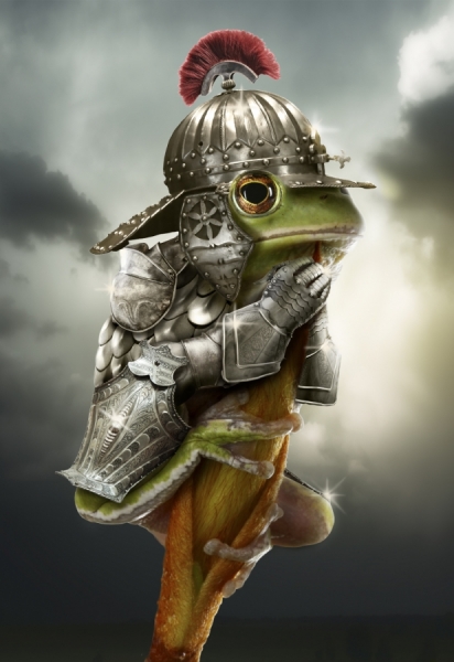 Photograph Jan Eric Friis Frog Armour on One Eyeland